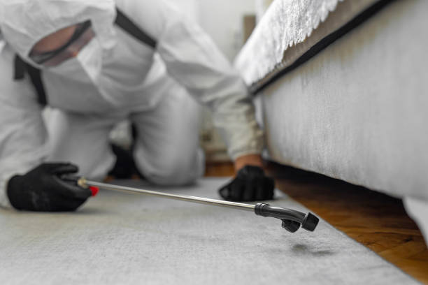 Professional Bed Bug Control technician working in Greenwood, MS
